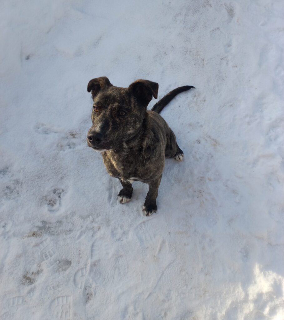 Історія Мартіна - медіа 1 з 7