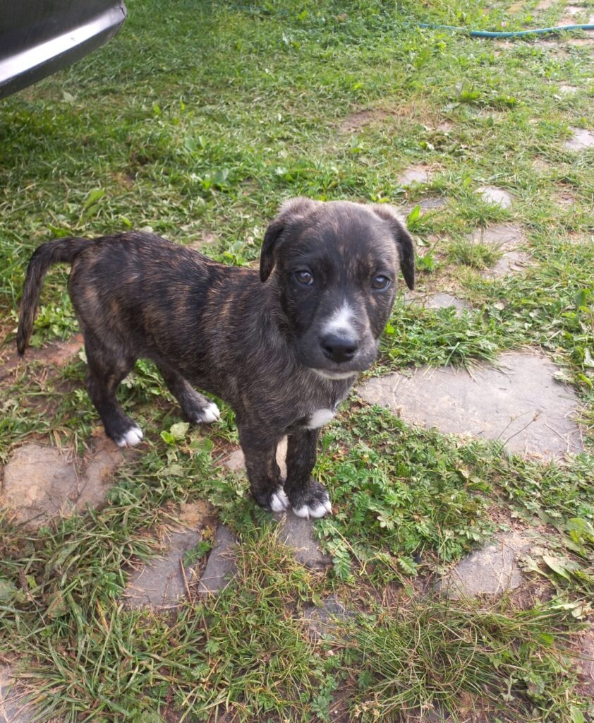 Історія Мартіна - медіа 6 з 7