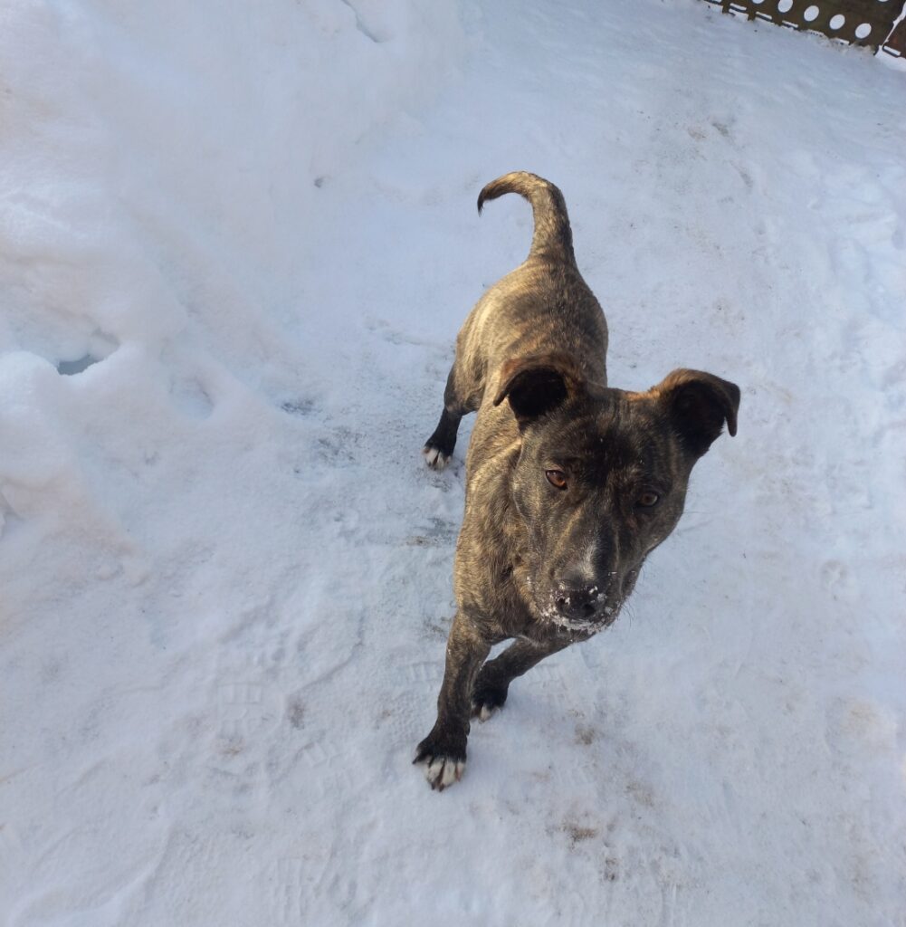 Історія Мартіна - медіа 2 з 7