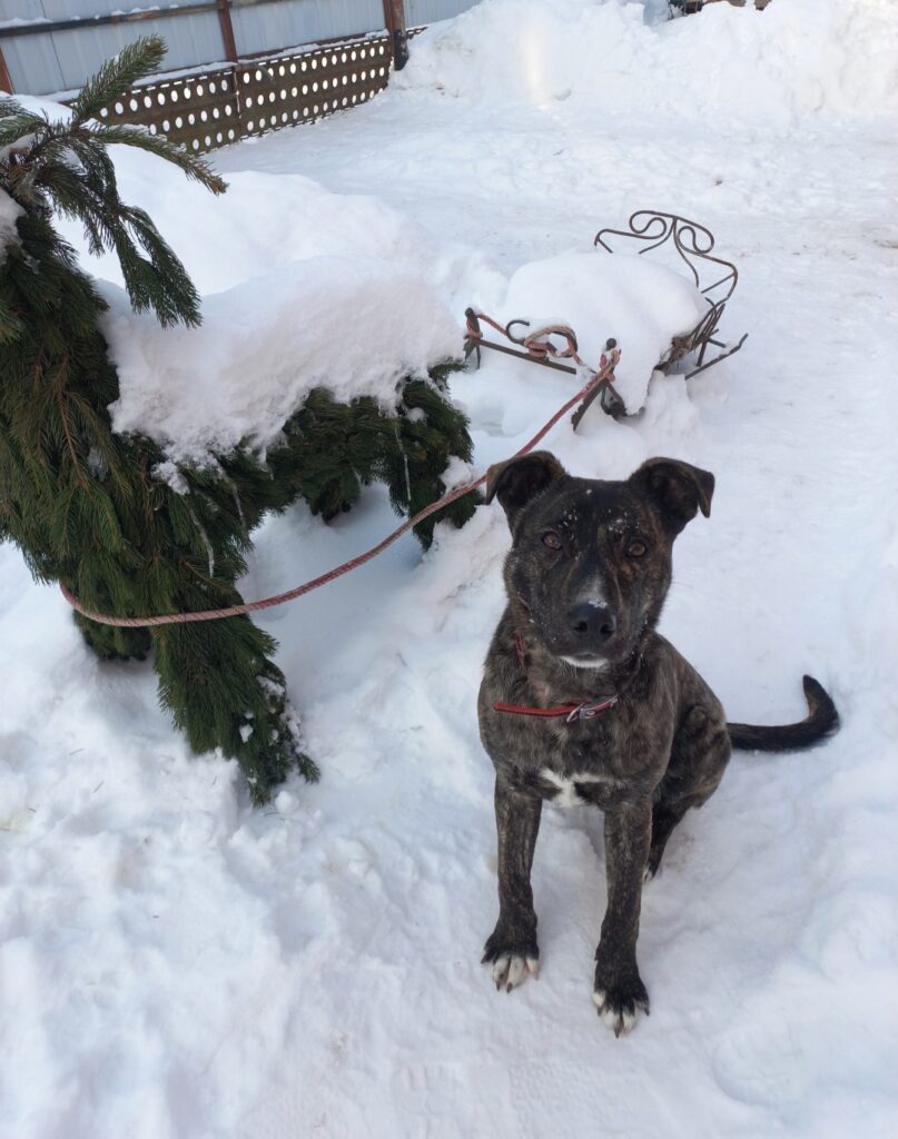 Історія Мартіна - медіа 3 з 7