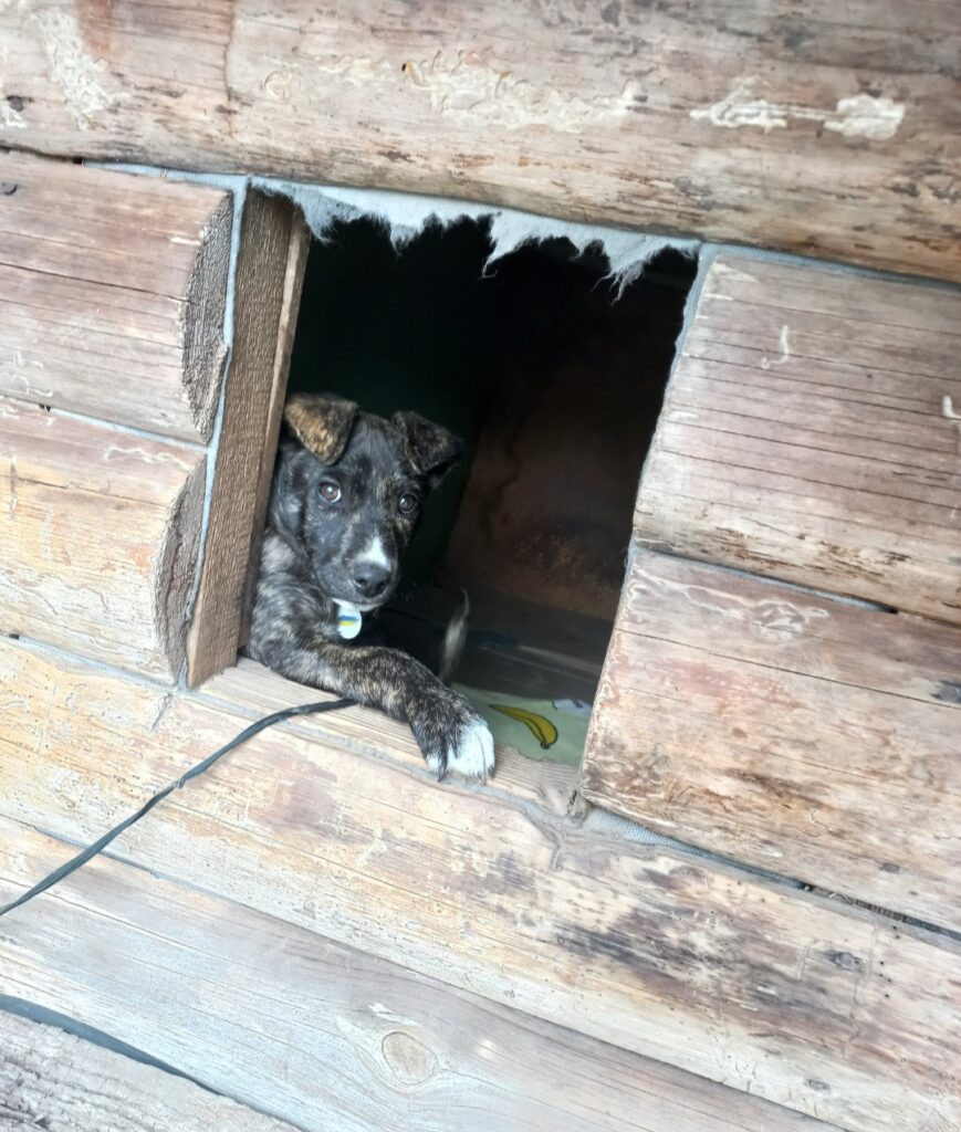 Історія Мартіна - медіа 5 з 7