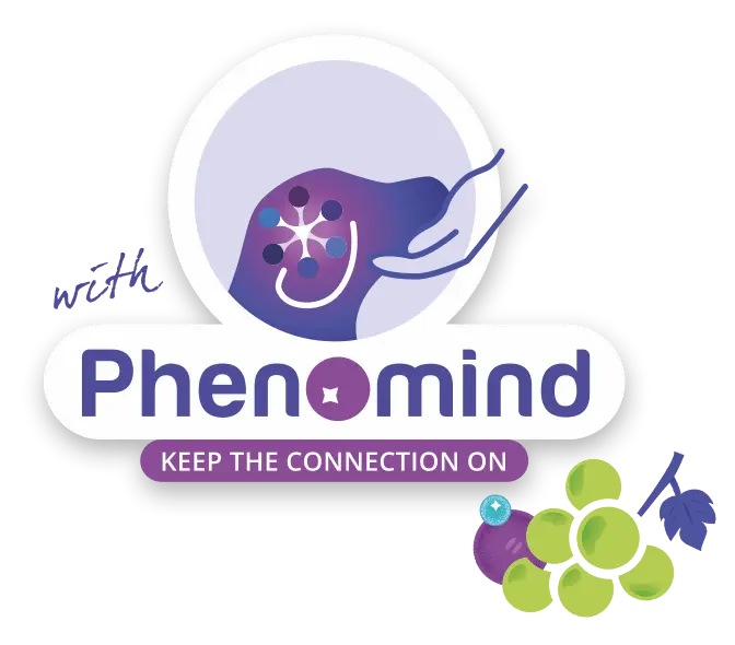 phenomind 1