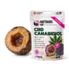 Ласощі LK Baits Pet Nutrigo CBD з конопляною олією для собак дрібних порід