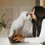 Собака лиже обличчя людини