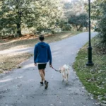 Людина в синій кофті вигулює собаку на повідку по алеї осіннього парку, вид ззаду