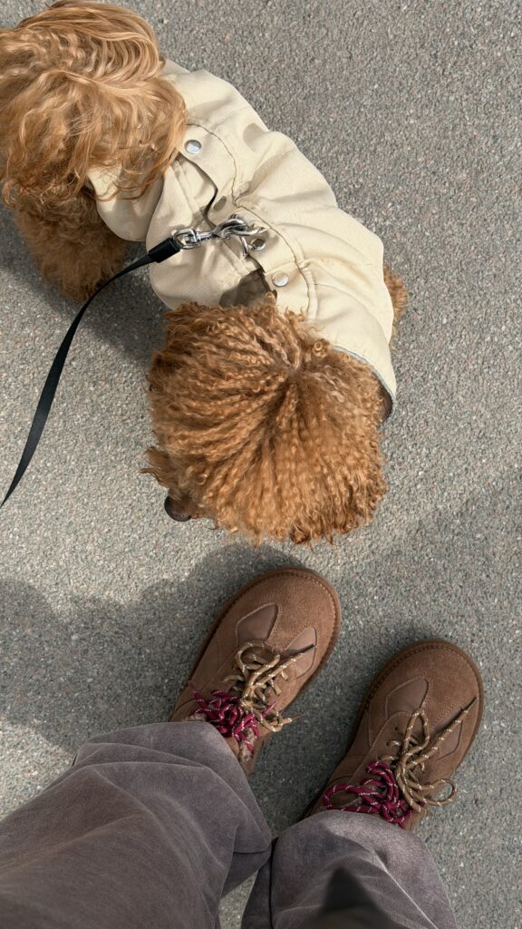 Morning vibe🤎 - медіа 2 з 2