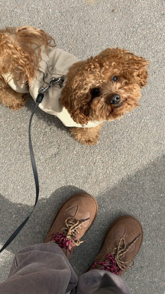 Morning vibe🤎 - медіа 1 з 2