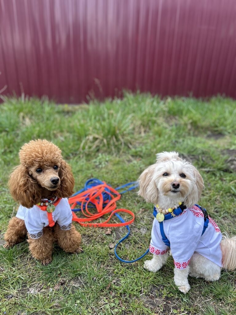 Зображення #1 від Дейзі і Тайрон