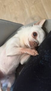 photo 2026 04 15 08 21 46