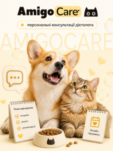 amigocare