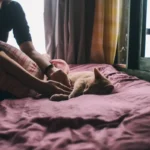 Кіт спить поруч з людиною у ліжку під ковдрою