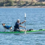 Чоловік пливе на каяку по річці разом зі своїм собакою сонячного дня