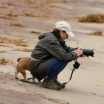 Жінка присіла з фотокамерою і знімає на вулиці, поруч з нею стоїть невеликий собака