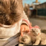 Дитина гладить кошенят на сонці надворі