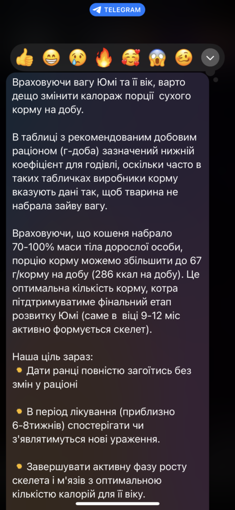 Консультація ветеринарного дієтолога 😊 - медіа 3 з 4