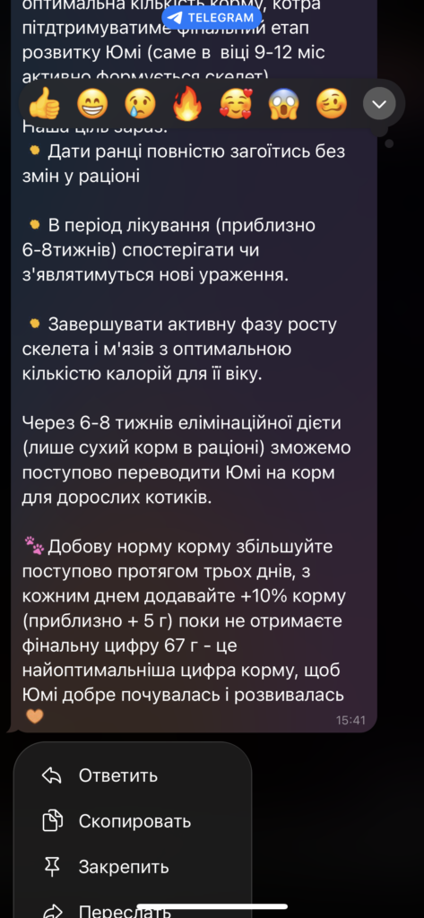 Консультація ветеринарного дієтолога 😊 - медіа 2 з 4