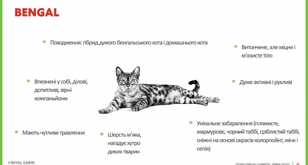 Кожна тварина унікальна ☺️ - медіа 4 з 6