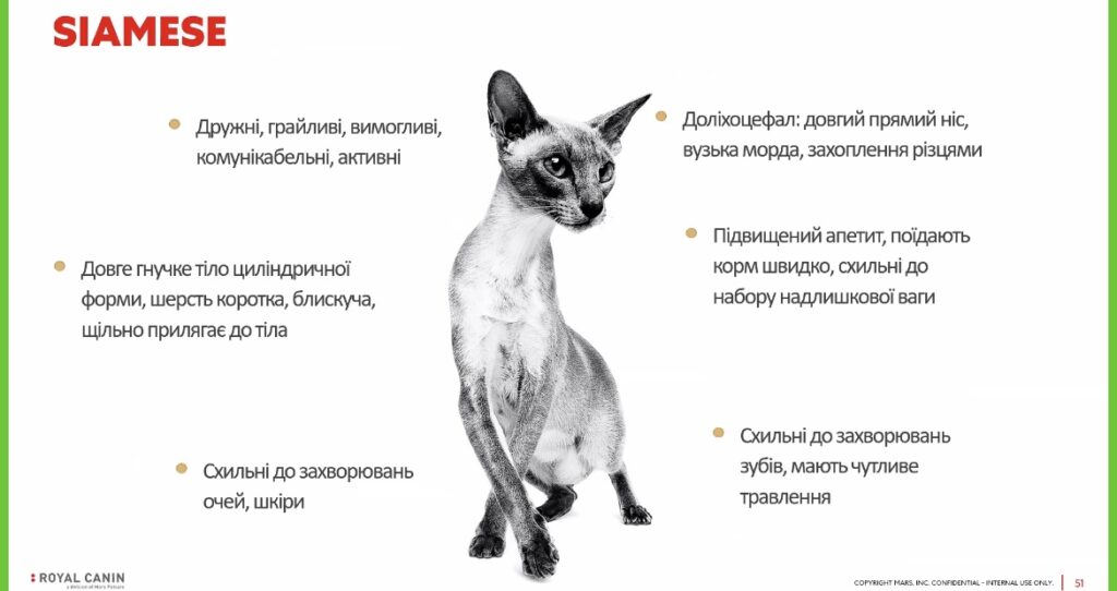 Кожна тварина унікальна ☺️ - медіа 5 з 6