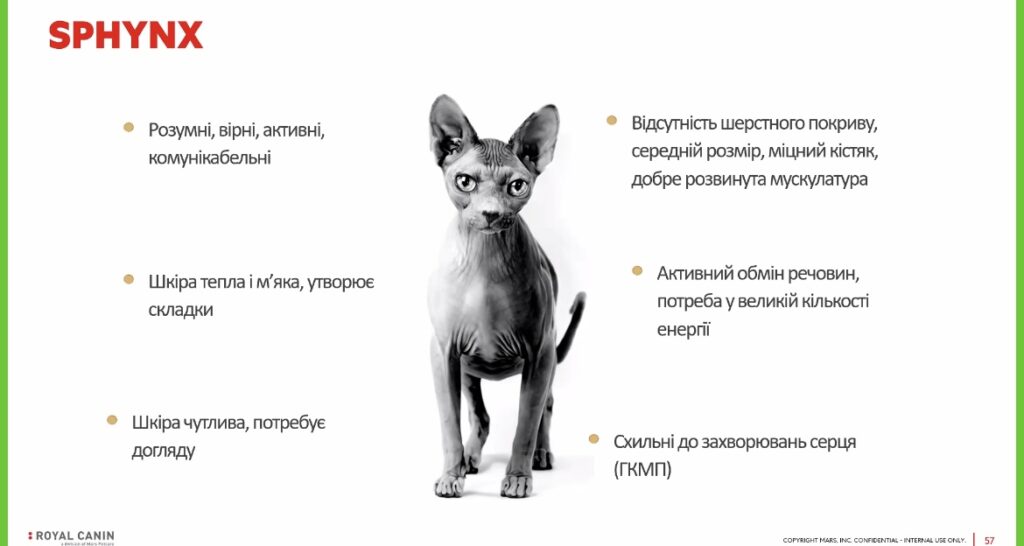 Кожна тварина унікальна ☺️ - медіа 6 з 6