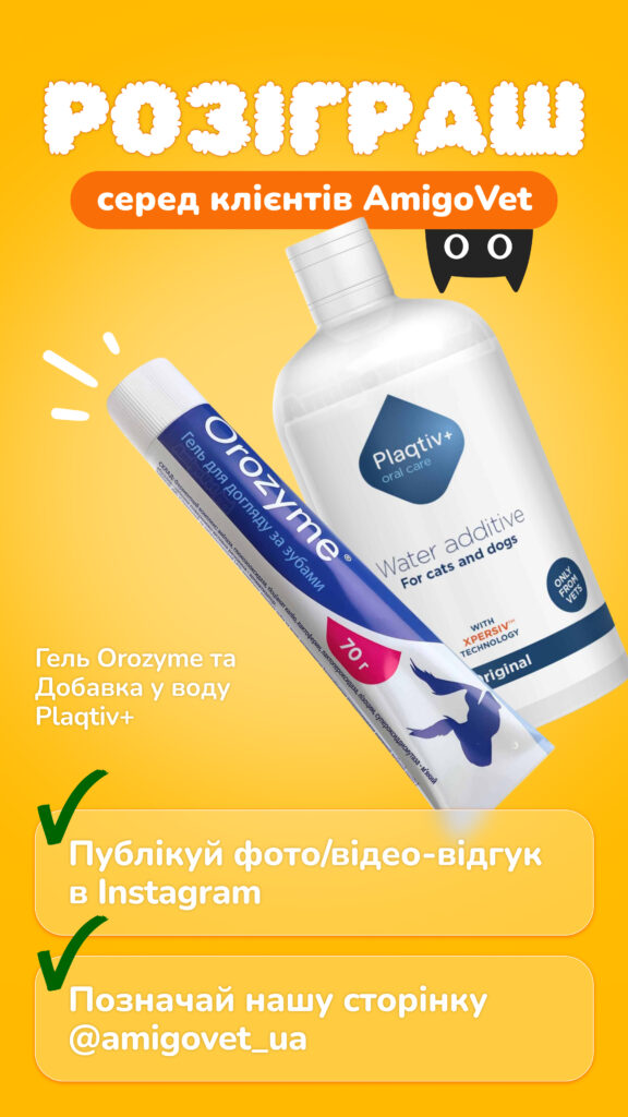 AmigoVet