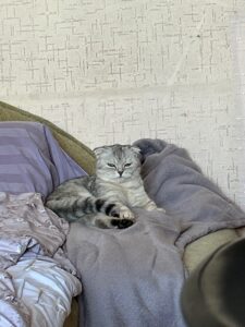 camphoto 1932422408