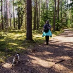 Собака на прогулянці взимку, захищена від бліх і кліщів