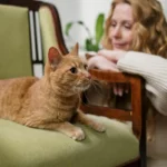 Жінка обіймає кота, відпочиваючи вдома під час свят
