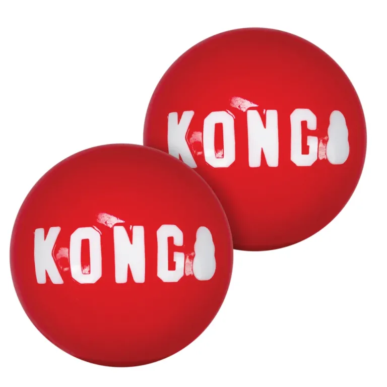 Набір м'ячиків для собак KONG Signature Balls, L, 2 шт
