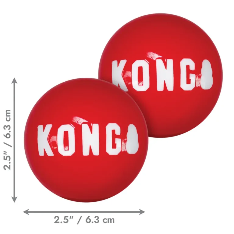 Набір м'ячиків для собак KONG Signature Balls, M, 2 шт
