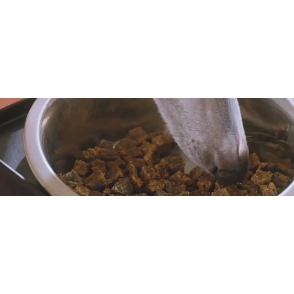 The Innocent Hound British Beef Stew — сушений на повітрі корм із британською яловичиною