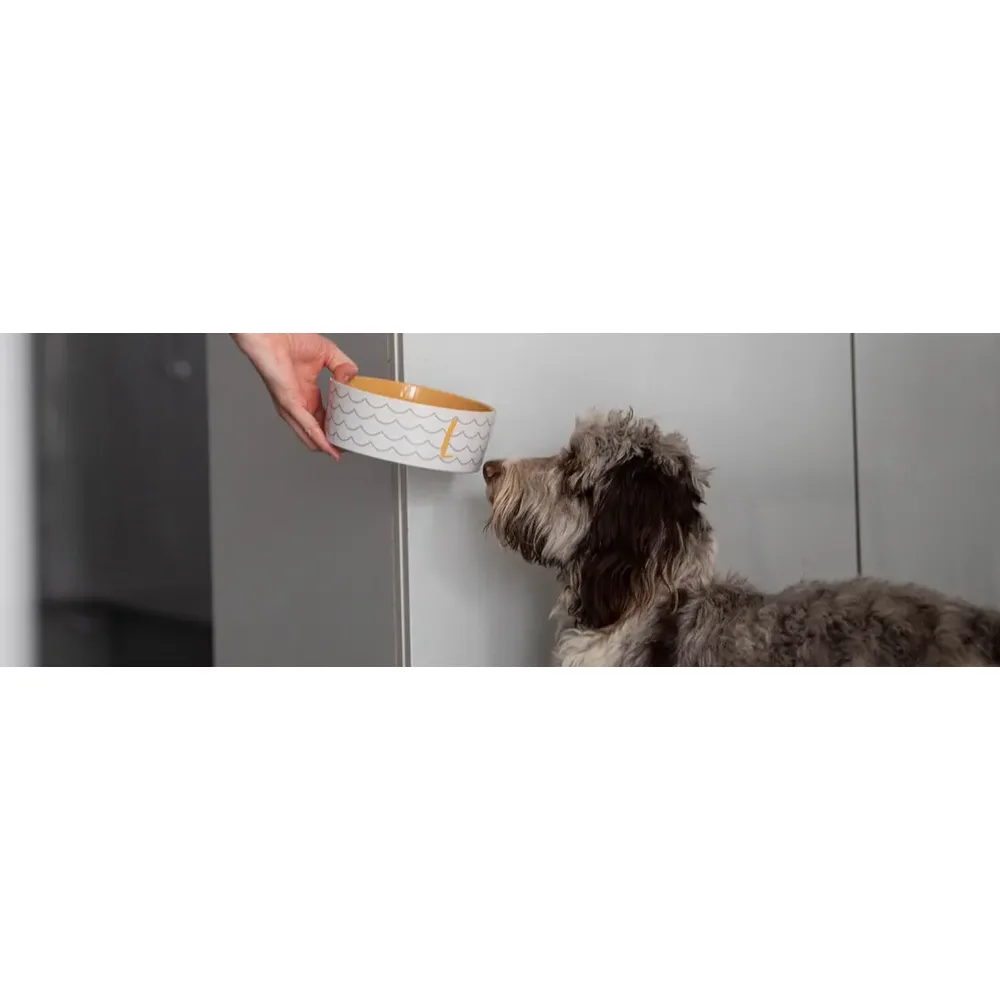 The Innocent Hound Gourmet British Duck — сушений на повітрі корм із британською качкою