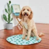 Охолоджуючий килимок GF Pet Ice Mat для собак та котів, бірюзовий