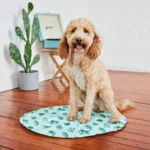 Охолоджуючий килимок GF Pet Ice Mat для собак та котів, бірюзовий