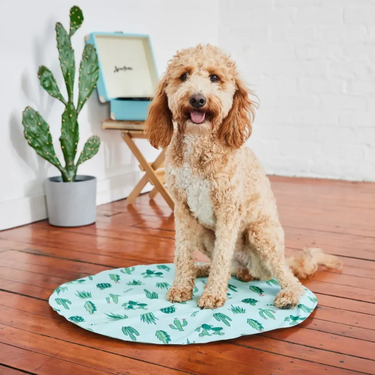 Охолоджуючий килимок GF Pet Ice Mat для собак та котів, бірюзовий