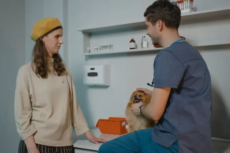 Курси для собак Canine Good Citizen у ветеринарних клініках