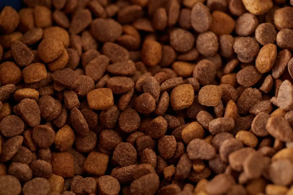 Чому ми більше не продаємо Royal Canin 1 Сухий корм для тварин великим планом
