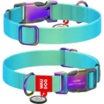 Нашийник для собак Waudog Nylon Recycled з QR-паспортом, градієнт, блакитний