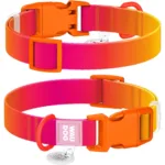 Нашийник для собак Waudog Nylon Recycled з QR-паспортом, градієнт, пластиковий фастекс, помаранчевий