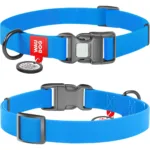 Нашийник для собак Waudog Waterproof водостійкий з QR-паспортом, пластикова пряжка-фастекс, блакитний