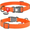 Нашийник для собак Waudog Waterproof водостійкий з QR-паспортом, пластикова пряжка-фастекс, помаранчевий