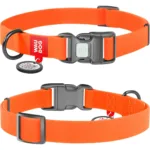 Нашийник для собак Waudog Waterproof водостійкий з QR-паспортом, пластикова пряжка-фастекс, помаранчевий