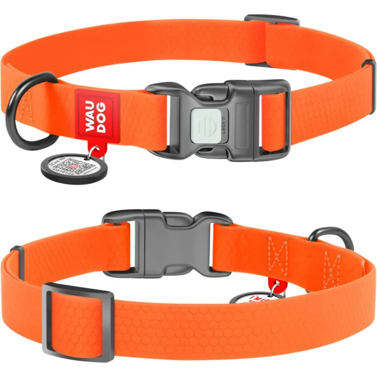 Нашийник для собак Waudog Waterproof водостійкий з QR-паспортом, пластикова пряжка-фастекс, помаранчевий