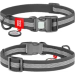 Нашийник для собак Waudog Waterproof водостійкий світловідбивний з QR-паспортом, пластикова пряжка-фастекс, сірий