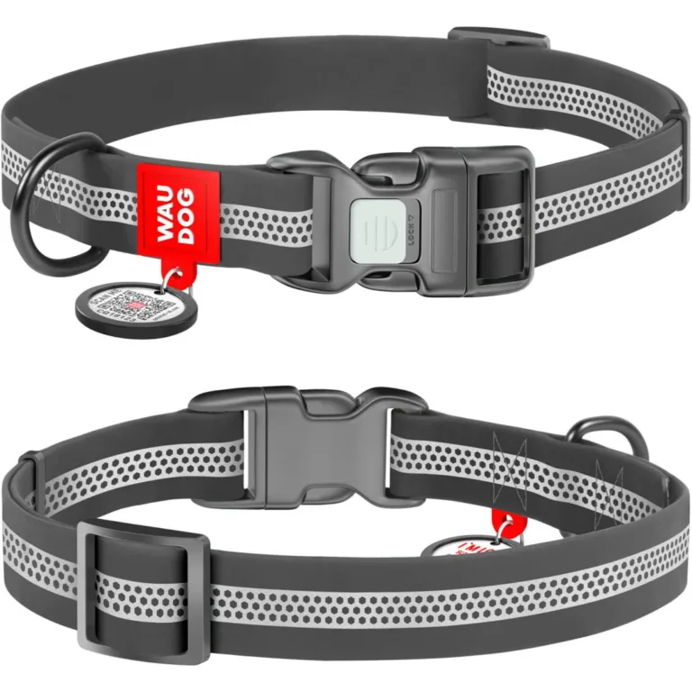 Нашийник для собак Waudog Waterproof водостійкий світловідбивний з QR-паспортом, пластикова пряжка-фастекс, сірий