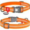 Нашийник для собак Waudog Waterproof водостійкий світловідбивний з QR-паспортом, пластикова пряжка-фастекс, помаранчевий