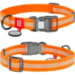 Нашийник для собак Waudog Waterproof водостійкий світловідбивний з QR-паспортом, пластикова пряжка-фастекс, помаранчевий