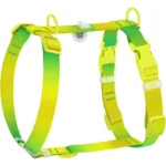 Шлея для собак Waudog Nylon Recycled анатомічна Н-подібна з QR-паспортом, градієнт, пластиковий фастекс, салатова