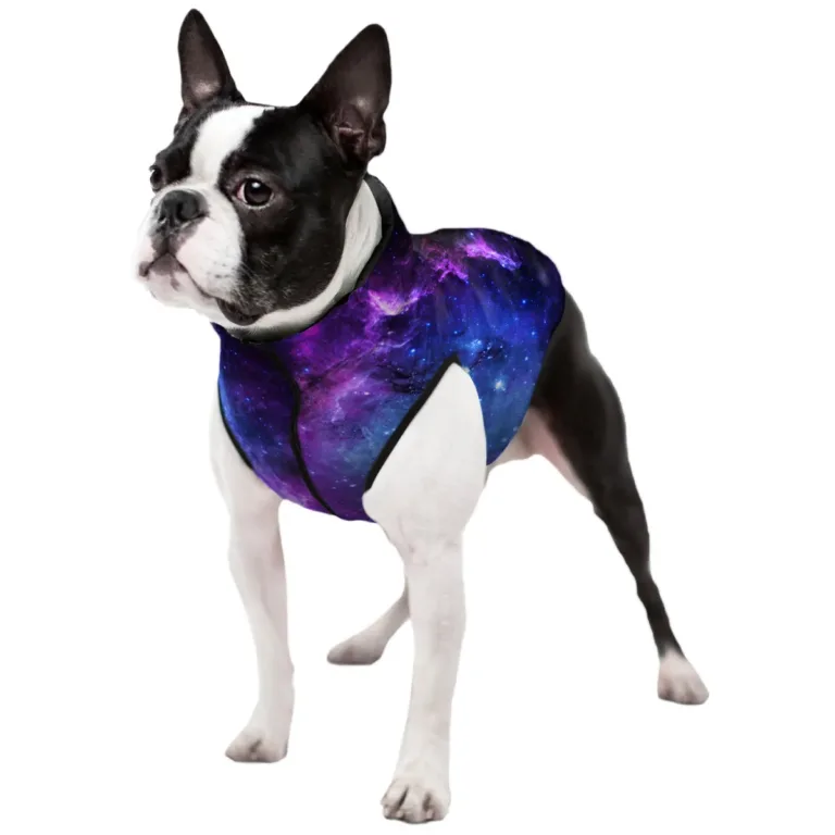 Курточка WAUDOG Clothes NASA21 для собак