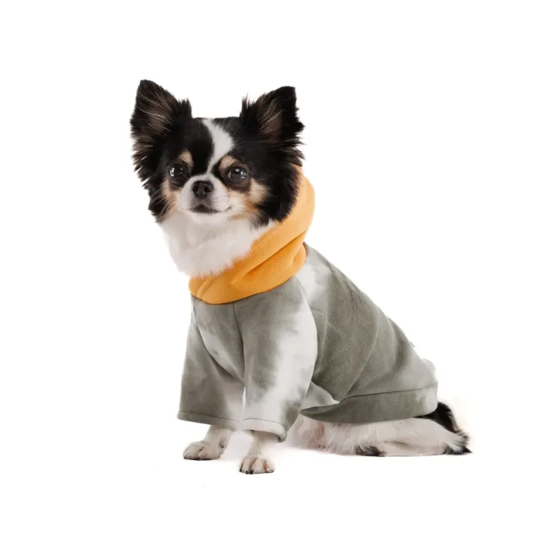 Толстовка Pet Fashion Tie-dye для собак