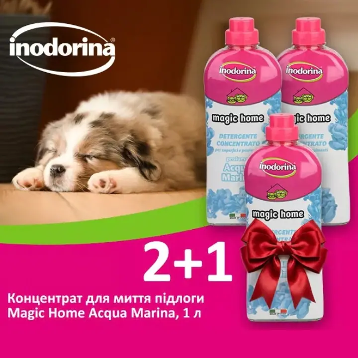 Набір 2+1 Inodorina «Чистий дім»: концентрат для миття підлоги Magic Home, 1 л